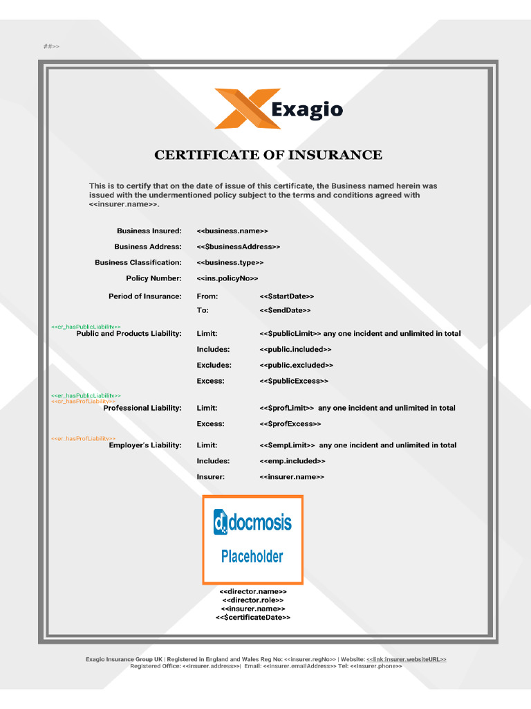 Motor Insurance | PDF