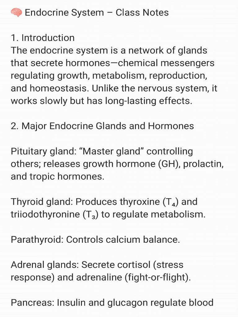 Endocrine System Class Notes - 251109 - 153206 | PDF