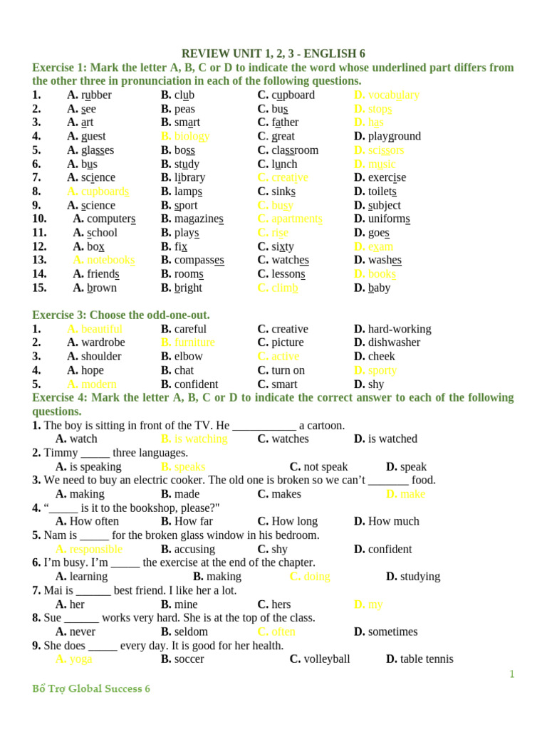 English 6 Review Exercises Unit 1-3 | PDF