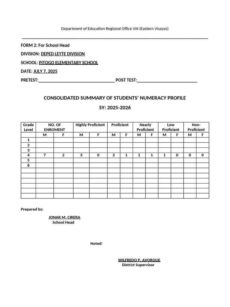 Consolidated Summary of Students Numeracy Profile Sy 2025-2026 | PDF