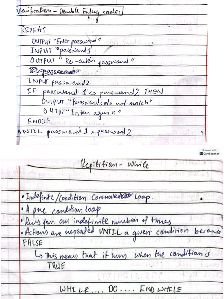 Comp Classwork-Double Entry, While Loop | PDF