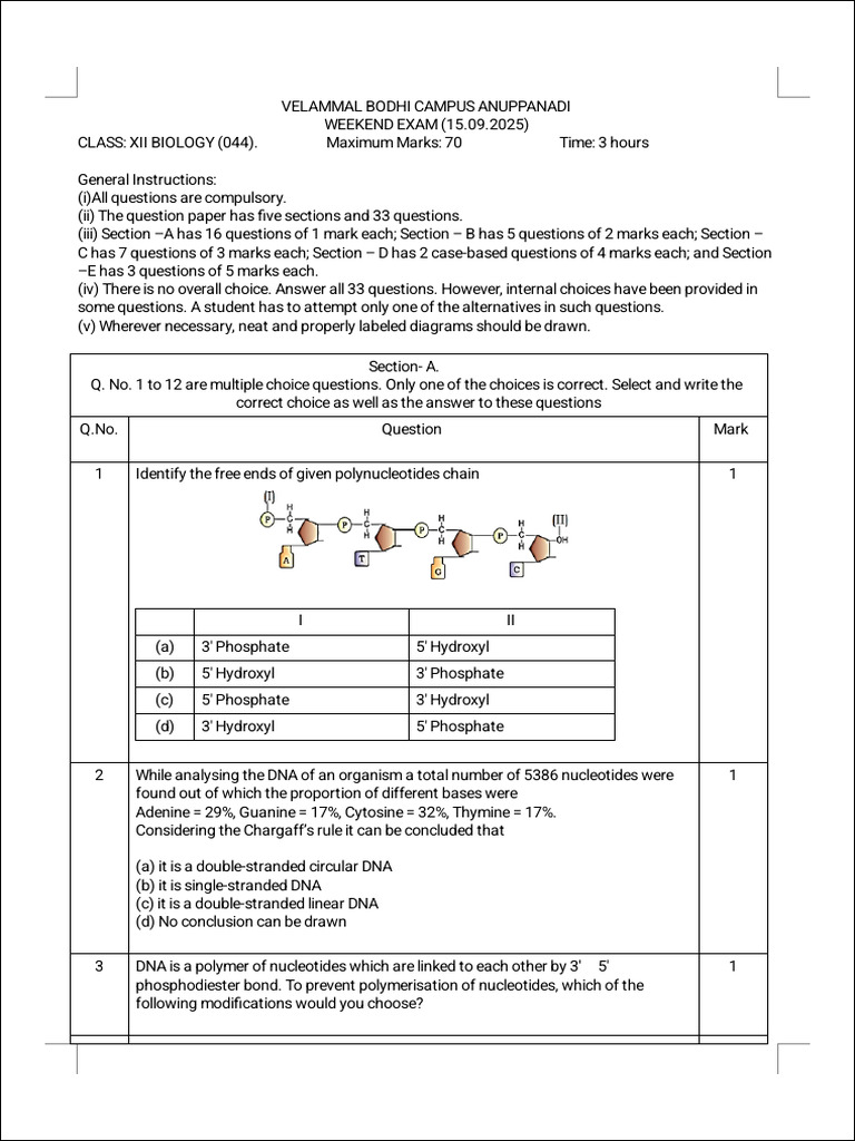 Class XII Biology Weekend Exam 2025 | PDF | Rna | Dna