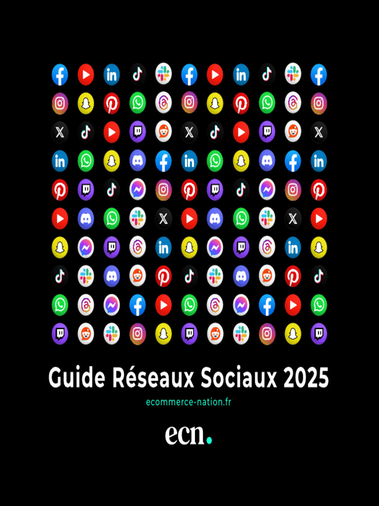 Guide des Réseaux Sociaux 2025 | PDF | Snapchat | Facebook
