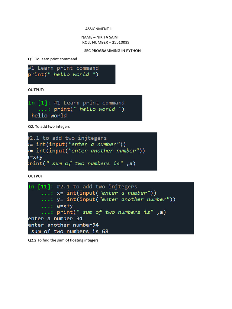 Python Programming Assignment Overview | PDF