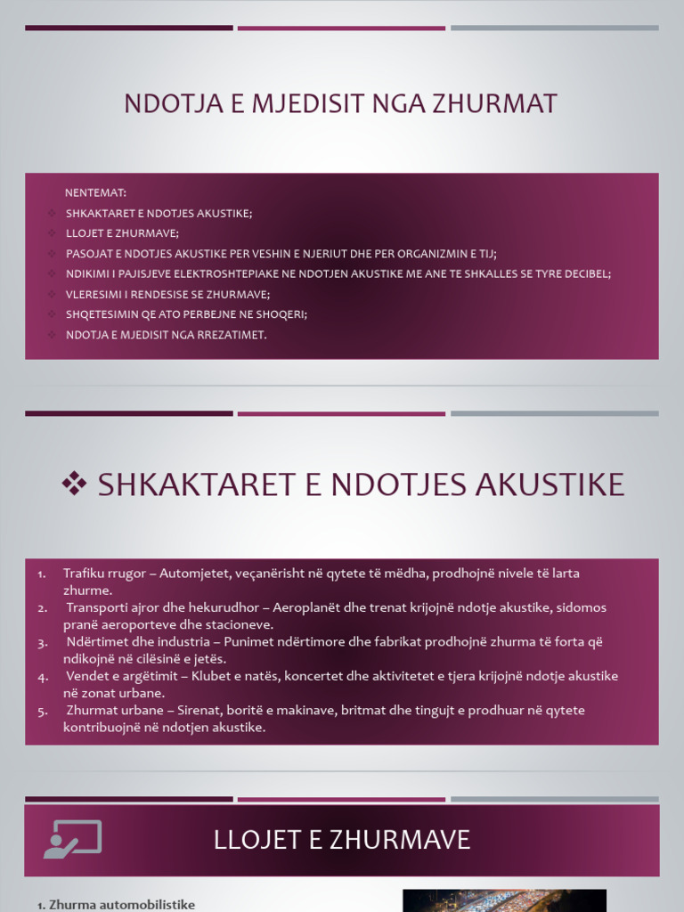 Ndotja e Mjedisit Nga Zhurmat | PDF