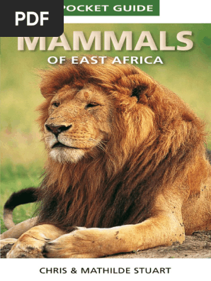 洋書 Southern, Central and East African Mamma East Africa Mammals Pocket Guide | PDF | Zoology