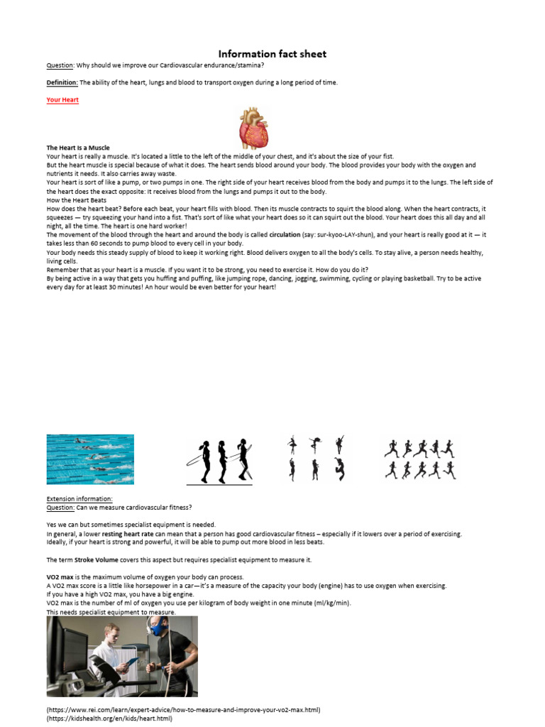 Information Fact Sheet - Cardiovascular Fitness | PDF | Heart ...