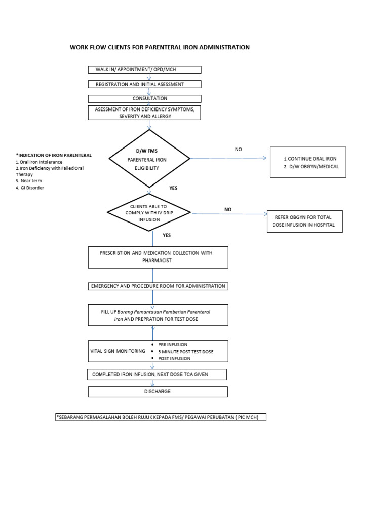 Parenteral Iron Administration Workflow | PDF