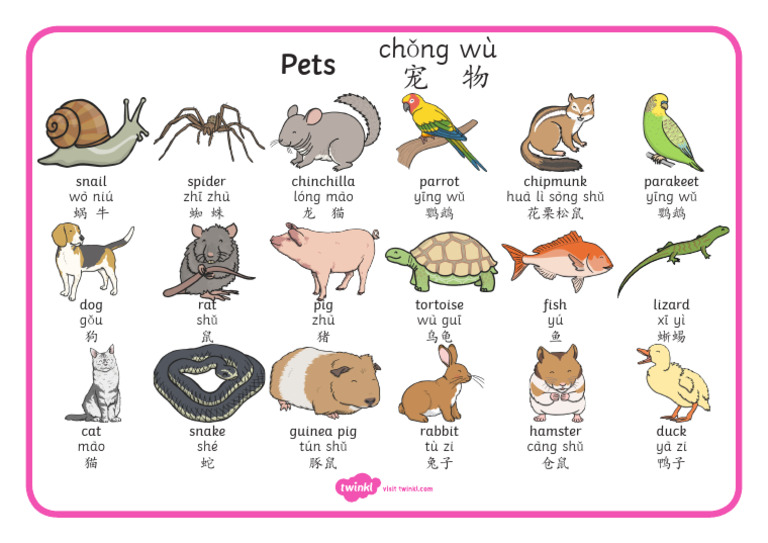Comprehensive Guide to Common Pets | PDF