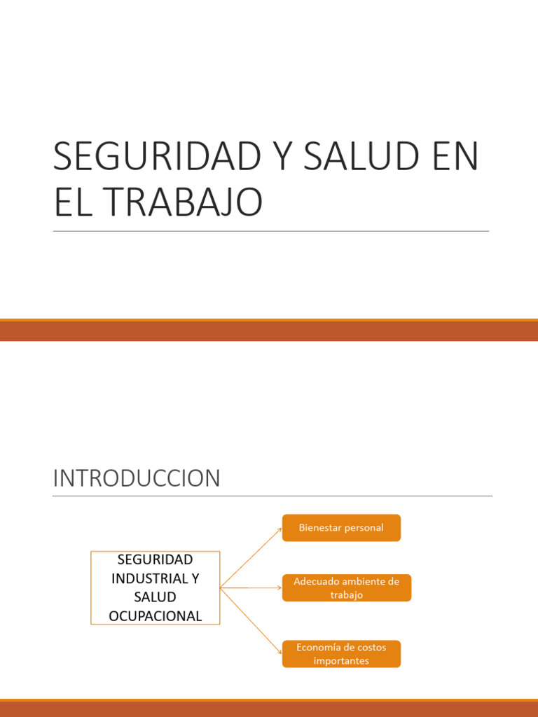 Seguridad y Salud en el Trabajo | PDF | Seguridad y salud ocupacional