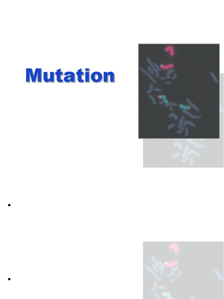 Understanding DNA Mutations and Types | PDF | Point Mutation | Mutation