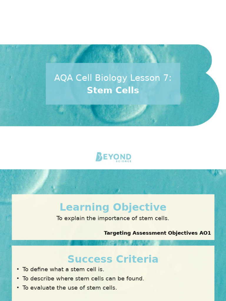 AQA Stem Cells: Definition & Uses | PDF | Stem Cell | Embryonic Stem Cell