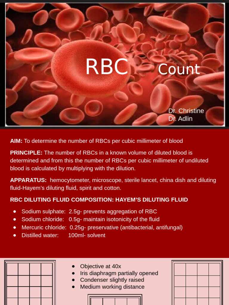 Red Blood Cell | PDF