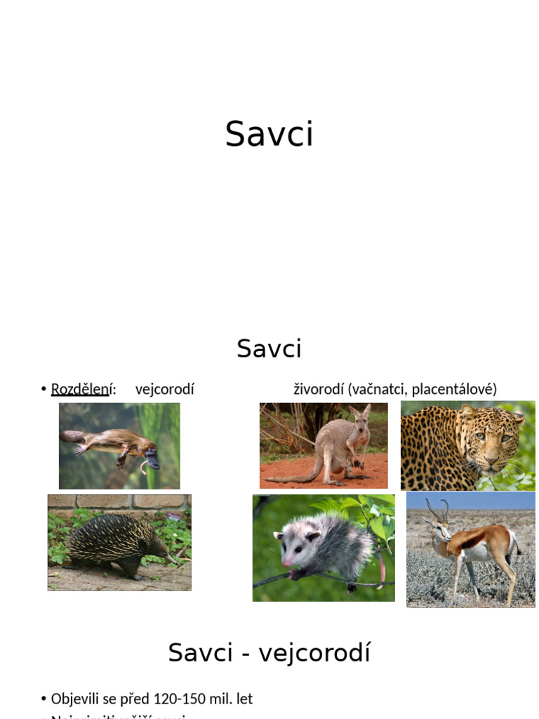 Savci - Vejcorod A Va Natci | PDF