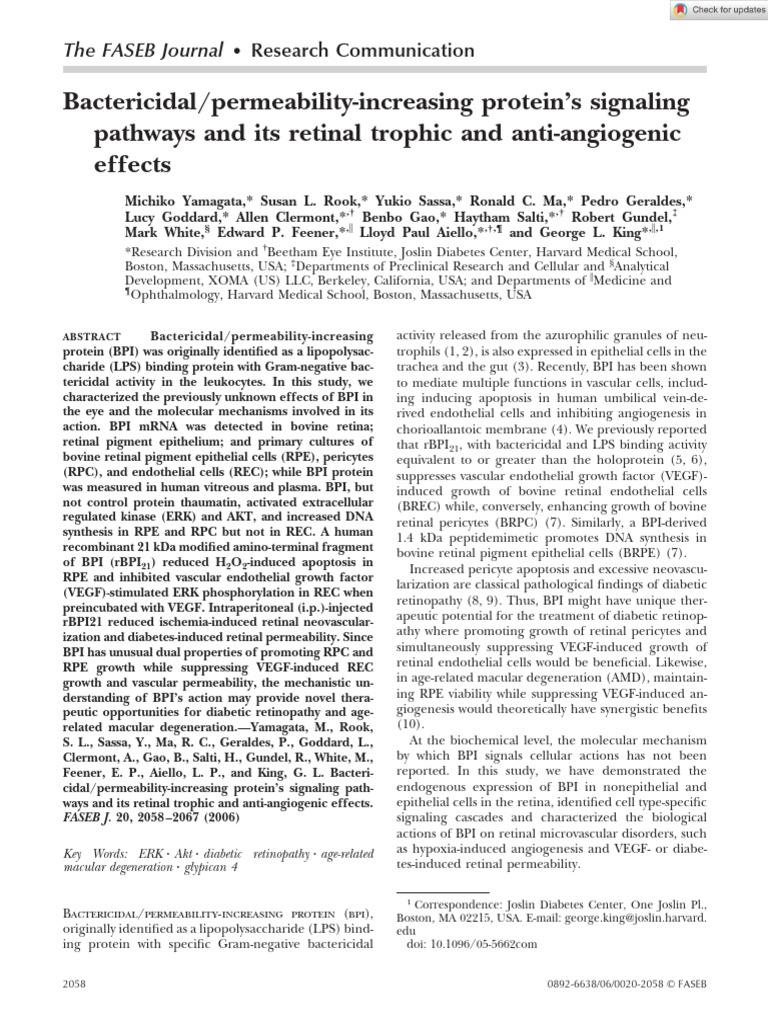 BPI Protein's Role in Retinal Health | PDF | Retina | Vascular ...