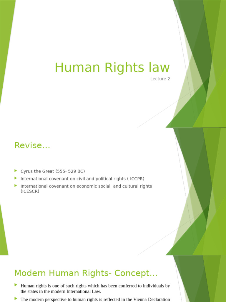 Overview of Human Rights Law Concepts | PDF | Human Rights | Justice