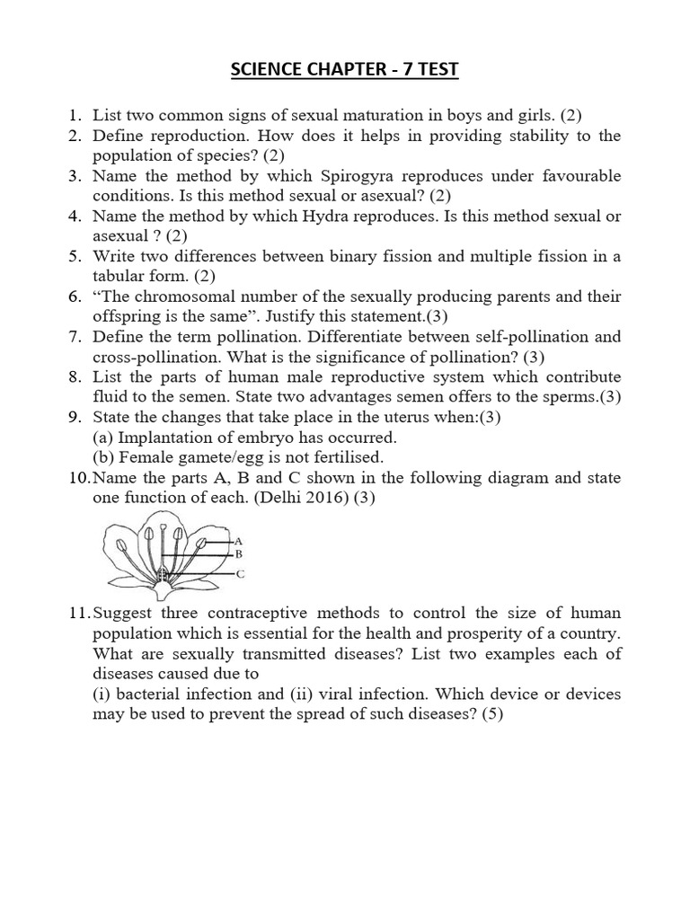 Science Chapter - Docx CH - 7 | PDF