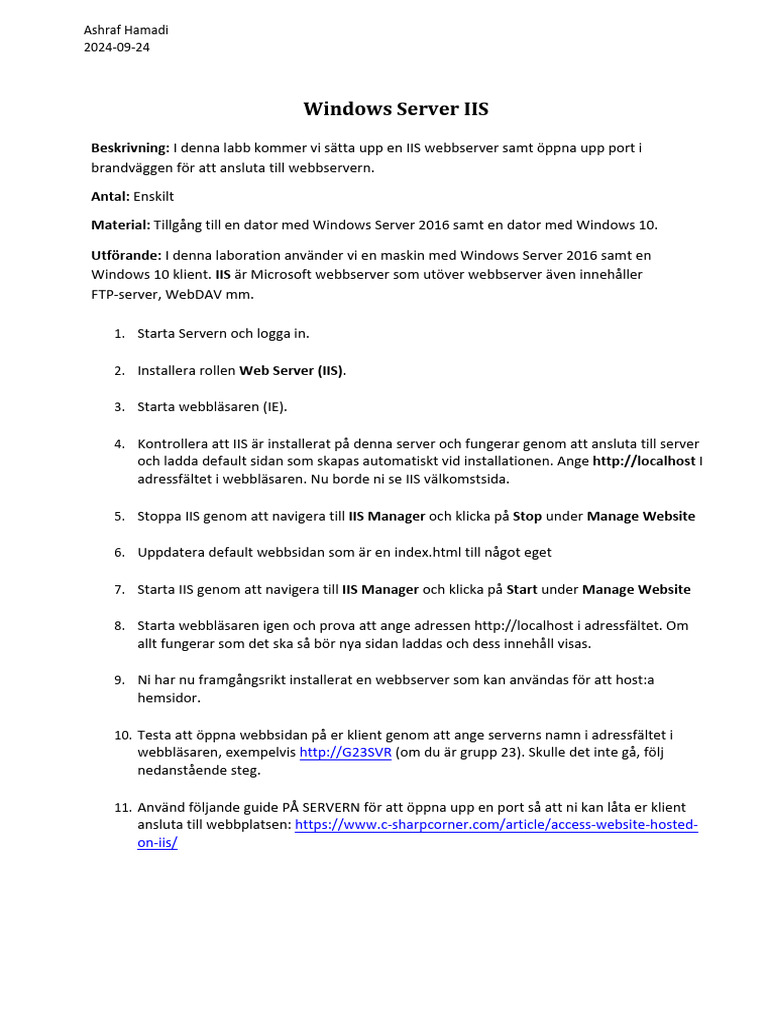 Labb IIS | PDF
