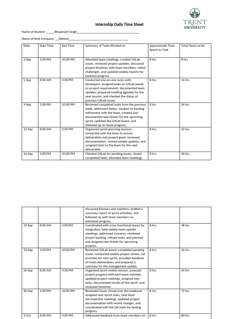 Time Sheet | PDF