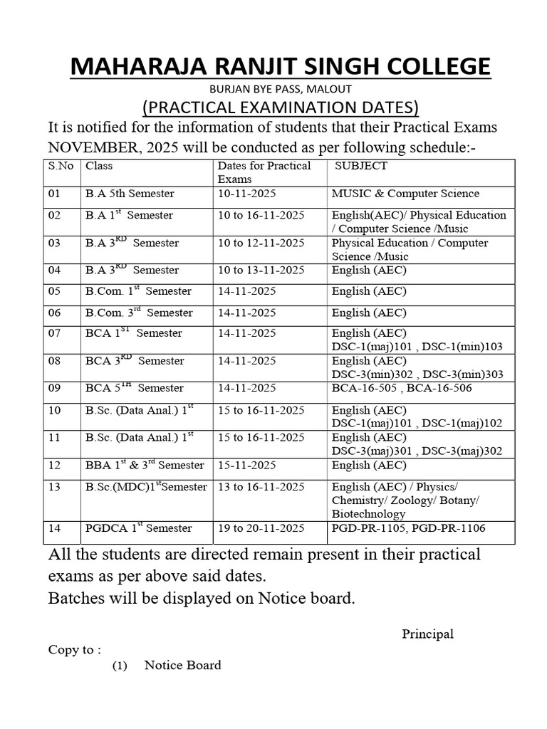 Practical Exam Schedule November 2025 | PDF