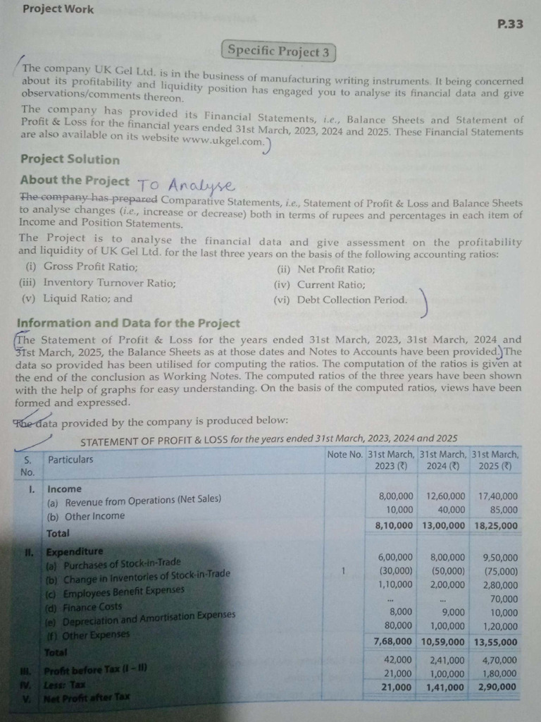 Accountancy Project 1 | PDF