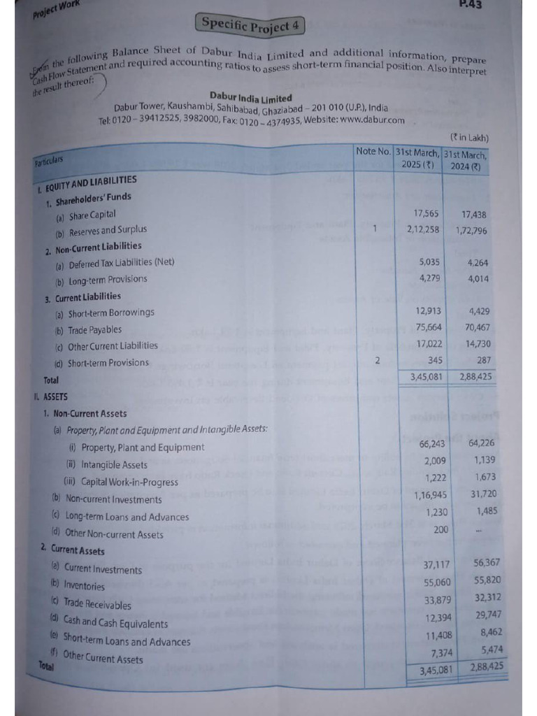 Accountancy - Project | PDF