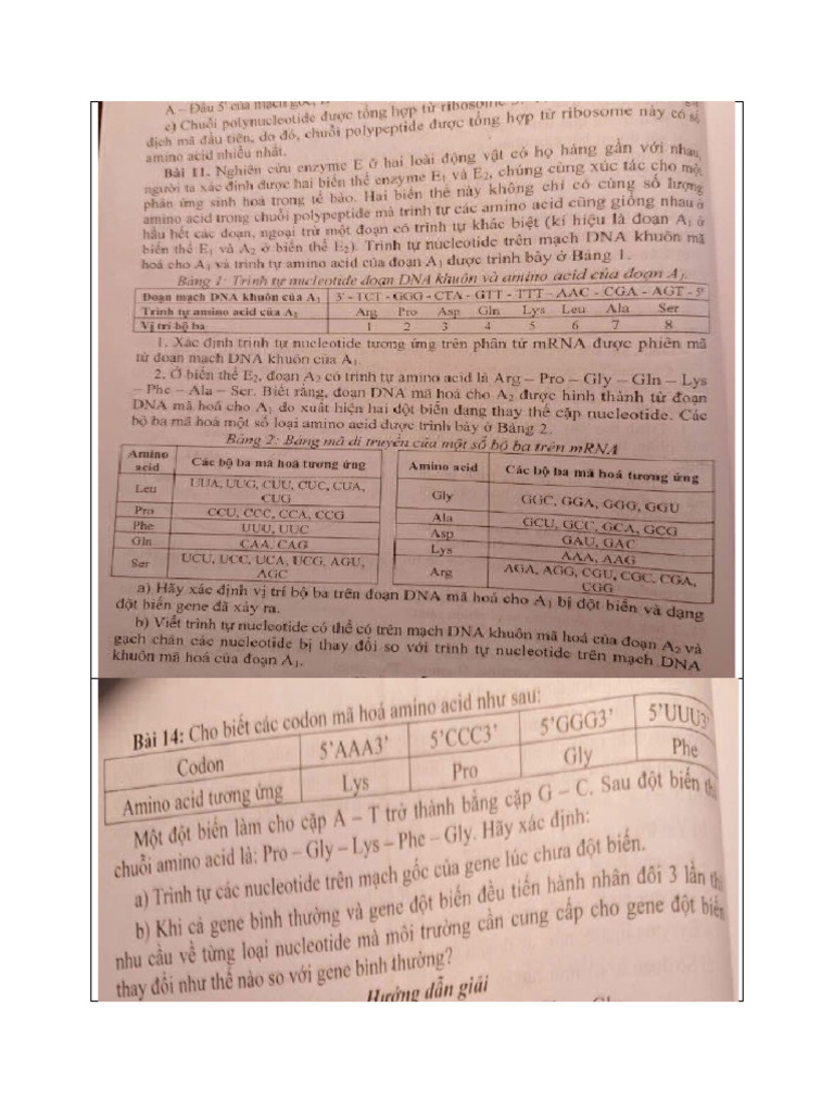 Bai Sau Buoi 2 | PDF