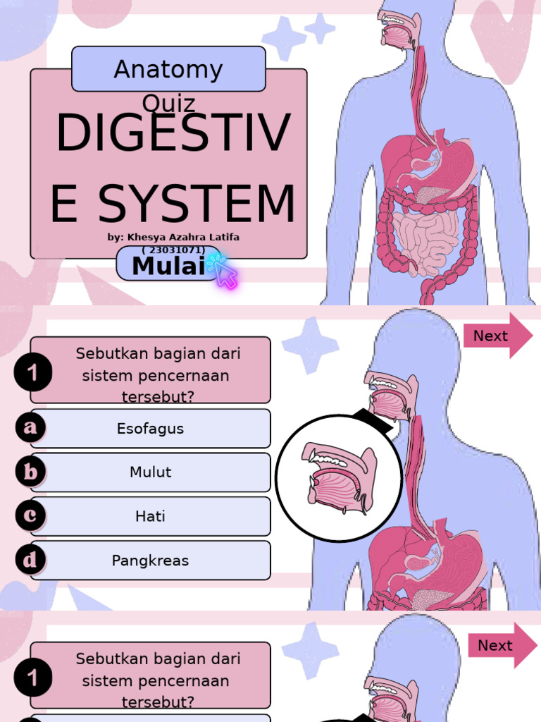 Digestive System Biology Quiz Presentation in a Blue Pink Bold Style | PDF
