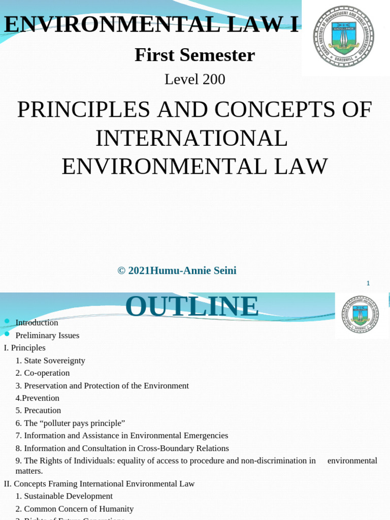 Principles of International Environmental Law | PDF | Sustainability ...