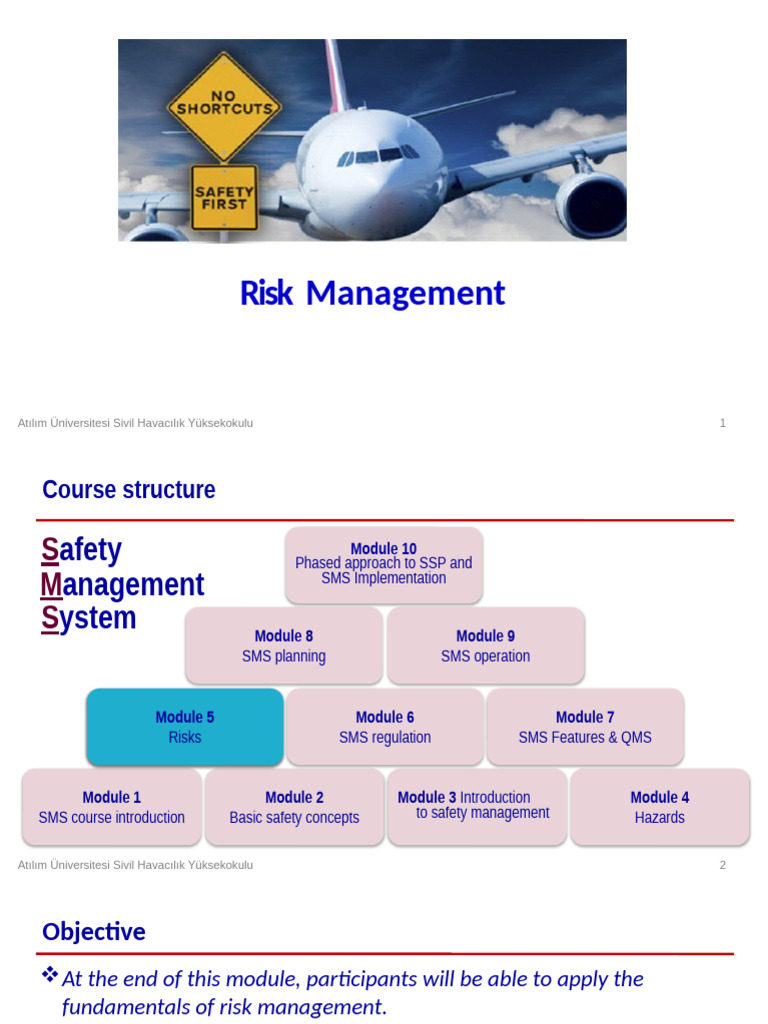 Risk Management in Aviation Safety | PDF | Risk | Risk Management