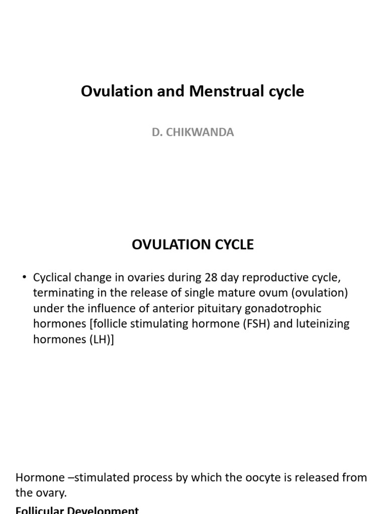 Ovulation and Menstrual Cycle Overview | PDF | Menstrual Cycle | Ovary