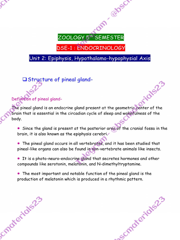 Zoology DSE 1 Unit 2 | PDF