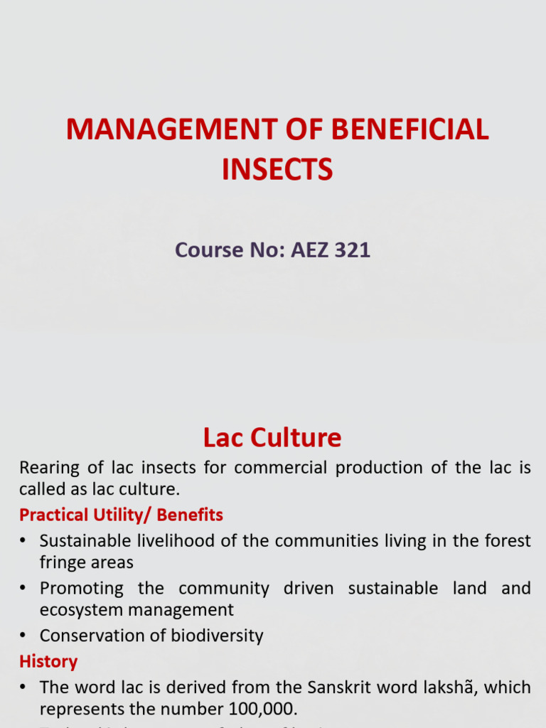Lecture V | PDF | Insects | Pruning