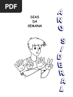 ANO SIDERAL - Libras