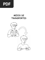 MEIOS DE TRANSPORTES - Libras