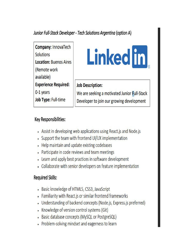 Junior Full-Stack Developer Profile | PDF