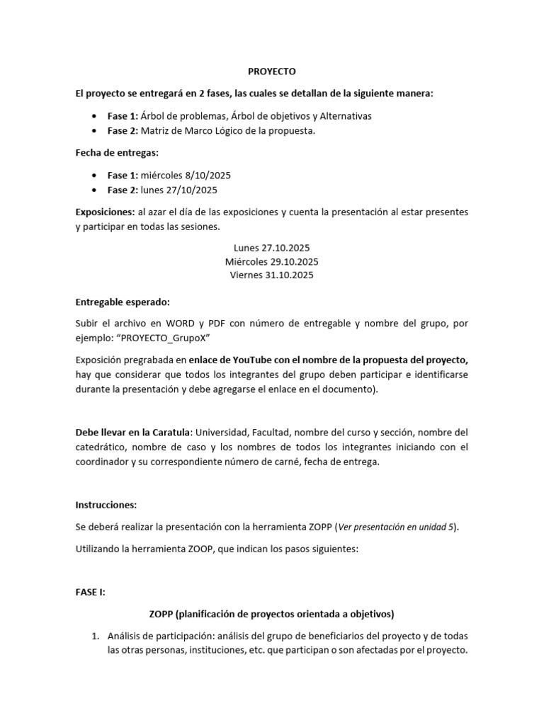 Fases del Proyecto: ZOPP y Entregables | PDF | Guatemala | Organización ...