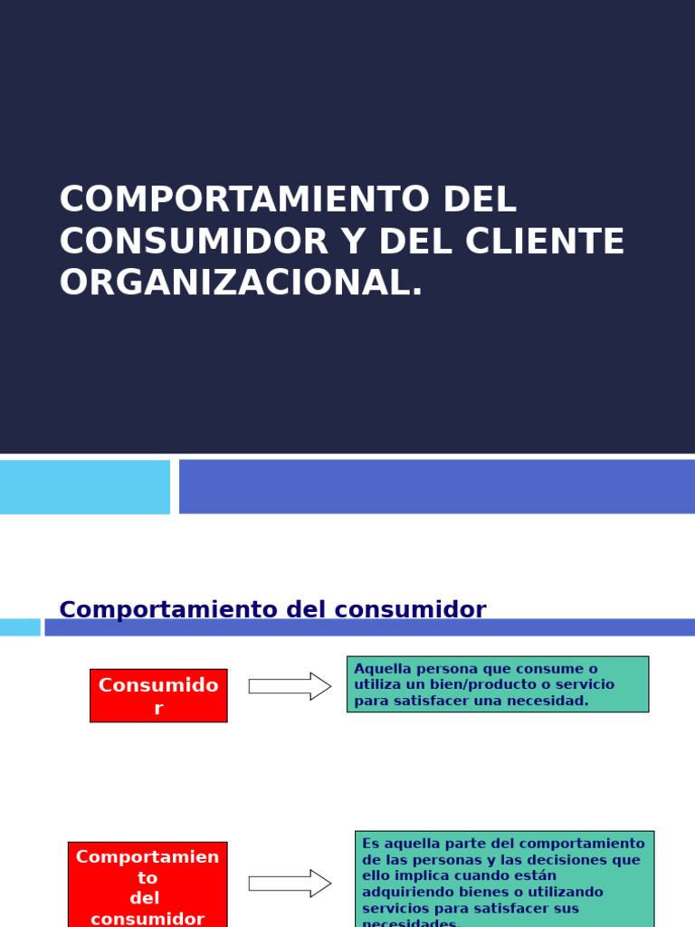 Comportamiento Del Consumidor | PDF | Comportamiento | Los consumidores