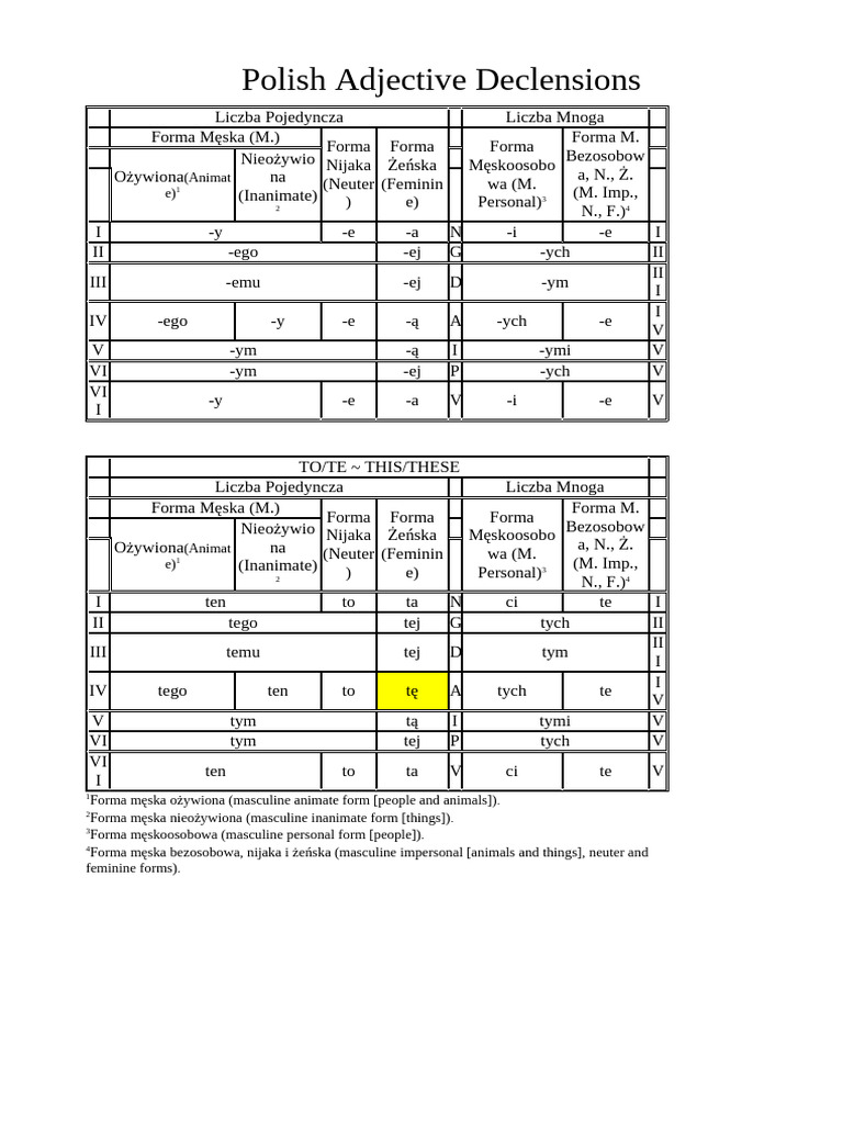 B1 Polish Adjective Declensions | PDF