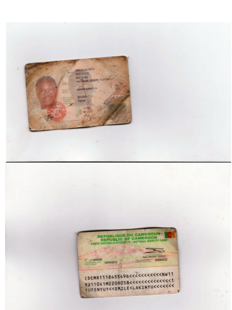Id Card | PDF