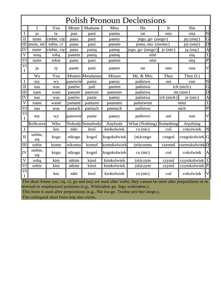 B1 Polish Pronoun Declensions | PDF