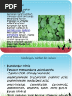 Download presentasi daun pegagan by Muslihatus Syarifah SN94609077 doc pdf