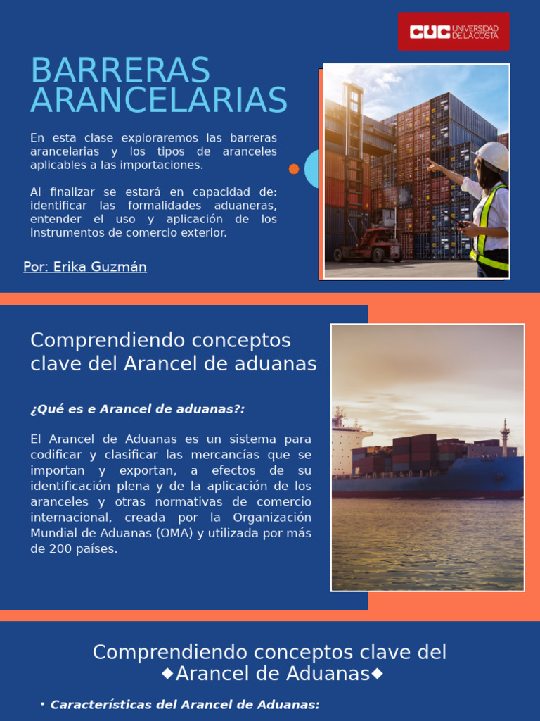 Barreras Arancelarias y Tipos de Aranceles | PDF | Arancel | Barreras ...