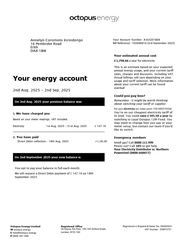 Octopus Energy Bill Summary 2025 | PDF