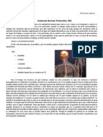 Clase 10 TC Anatomia Normal, Protocolos de SNC