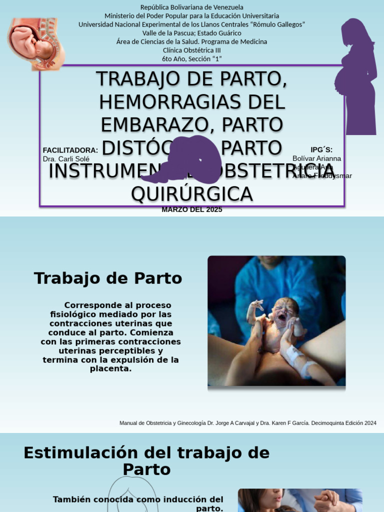 Guía Completa sobre Parto y Hemorragias | PDF | Parto | El embarazo