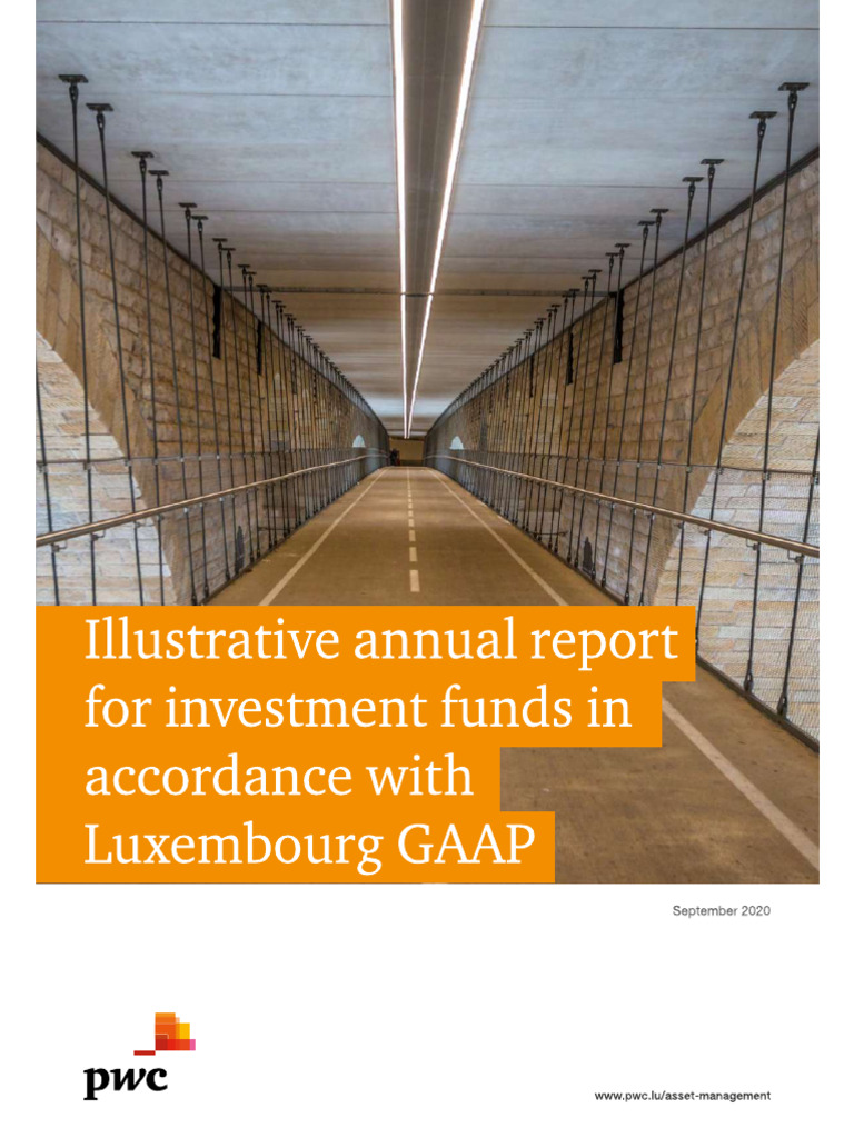 PWC Lux Gaap | PDF