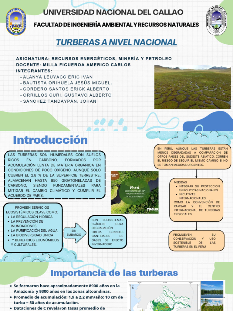 Trabajo N°2 - Turberas A Nivel Nacional - 20250918 - 183533 - 0000 ...