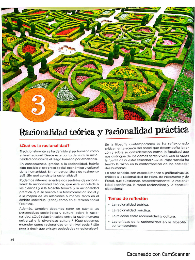 Tema 3 | PDF