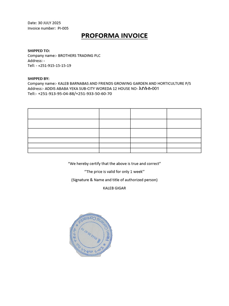 Proforma Invoice for Brothers Trading PLC | PDF